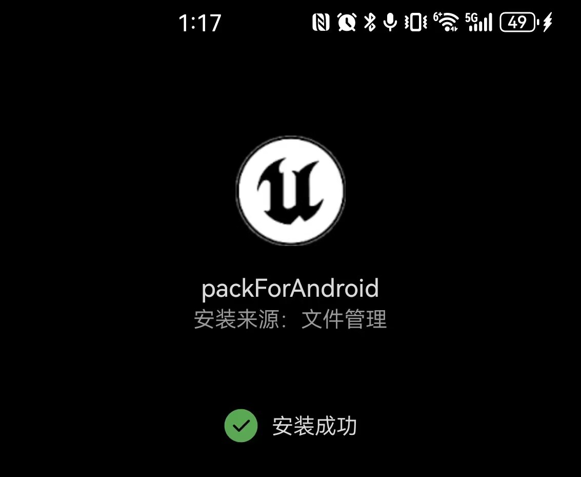 安装成功